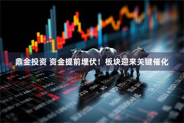 鼎金投资 资金提前埋伏！板块迎来关键催化
