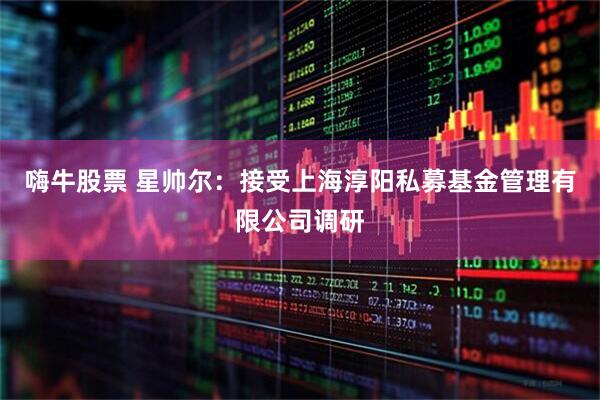 嗨牛股票 星帅尔：接受上海淳阳私募基金管理有限公司调研