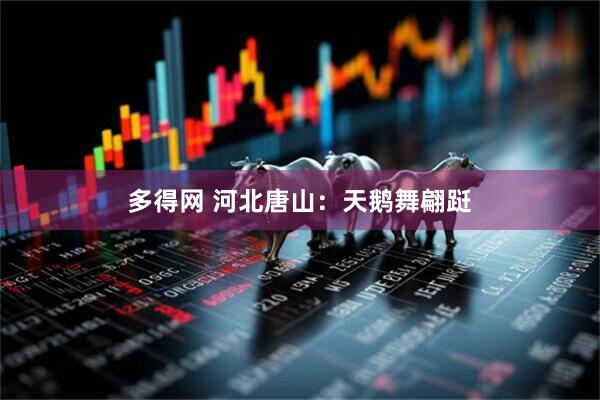 多得网 河北唐山：天鹅舞翩跹