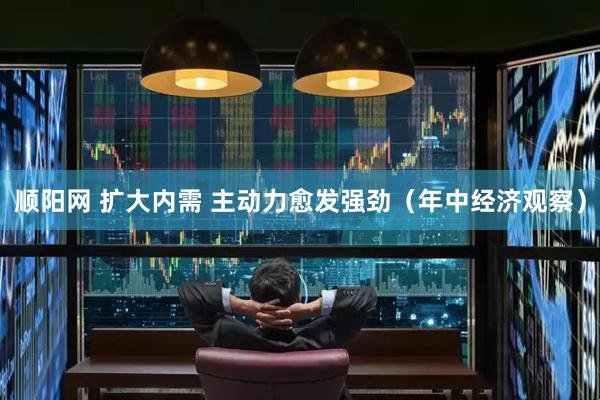 顺阳网 扩大内需 主动力愈发强劲（年中经济观察）