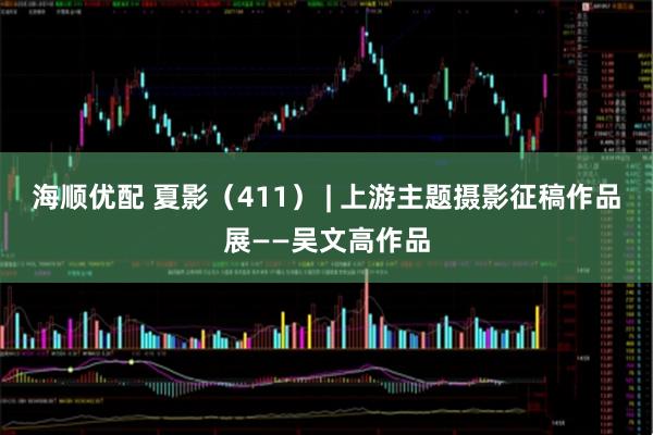 海顺优配 夏影（411） | 上游主题摄影征稿作品展——吴文高作品