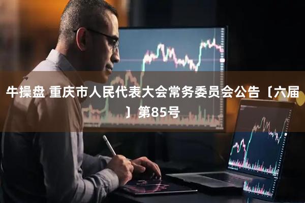牛操盘 重庆市人民代表大会常务委员会公告〔六届〕第85号