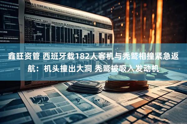 鑫旺资管 西班牙载182人客机与秃鹫相撞紧急返航：机头撞出大洞 秃鹫被吸入发动机