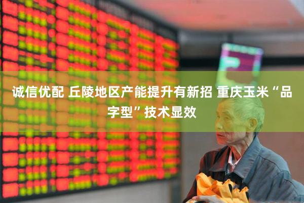 诚信优配 丘陵地区产能提升有新招 重庆玉米“品字型”技术显效