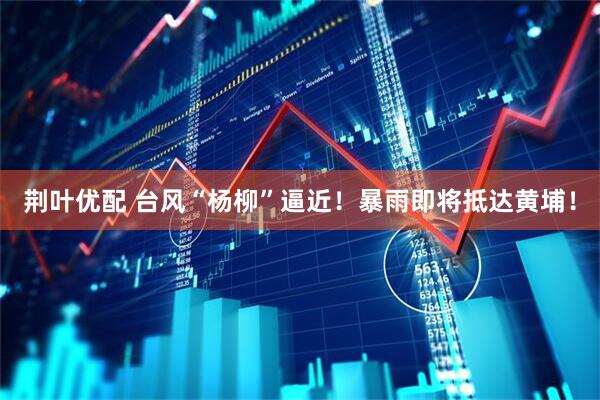 荆叶优配 台风“杨柳”逼近！暴雨即将抵达黄埔！